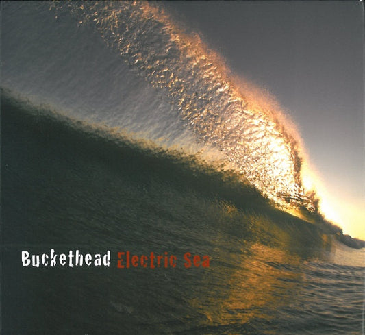 Buckethead / Electric Sea